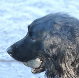 Meet your Posher, Jussi